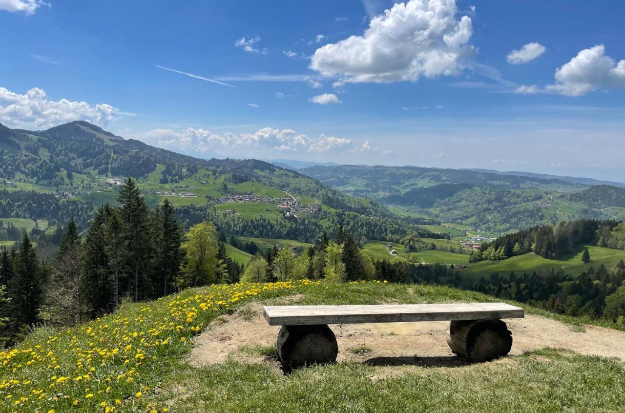 Lindner Hotel Oberstaufen Parkhotel, Part Of Jdv By Hyatt エクステリア 写真
